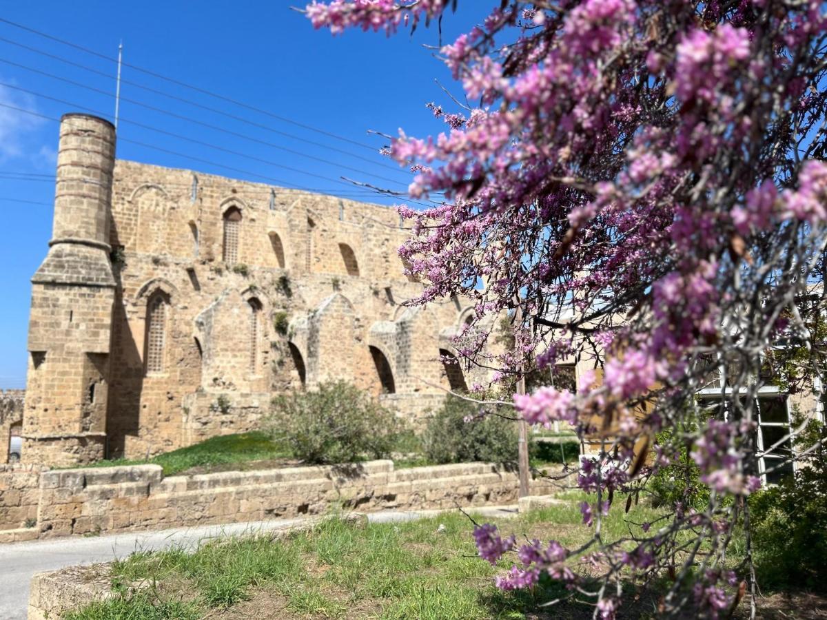Royal Goddess Guest House, Walled City Αμμόχωστος Εξωτερικό φωτογραφία
