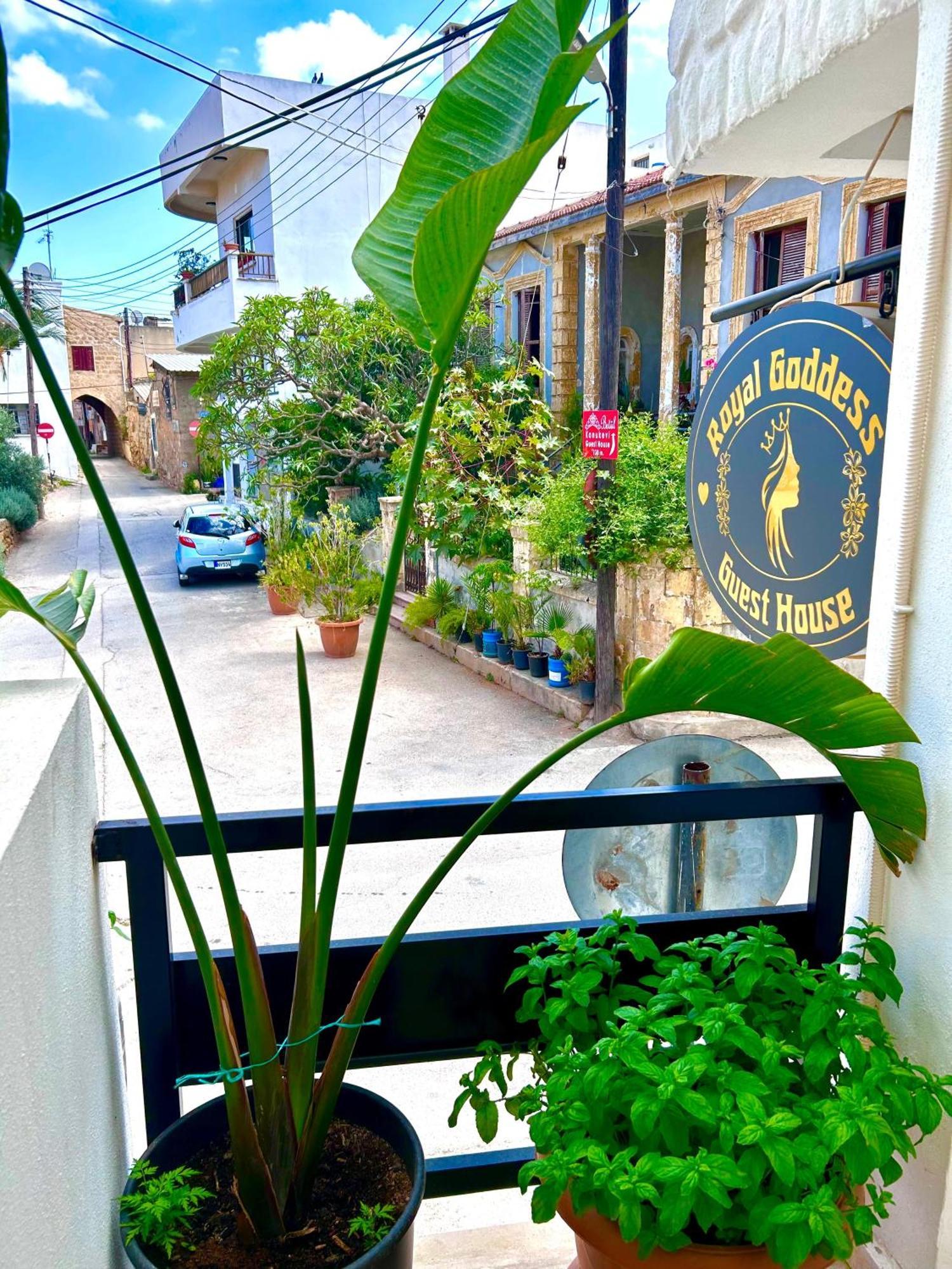 Royal Goddess Guest House, Walled City Αμμόχωστος Εξωτερικό φωτογραφία